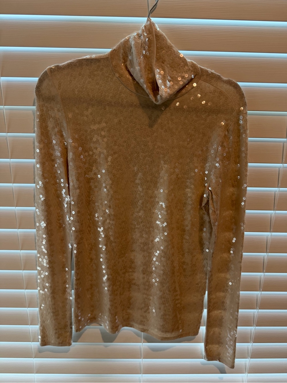 Express Champagne Sequin Turtleneck Sweater